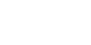 oberthur solutions